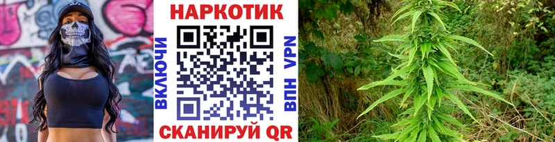 Как найти наркотики Сортавала АМФ Галлюциногенные грибы Каннабис КОКАИН ГАШИШ