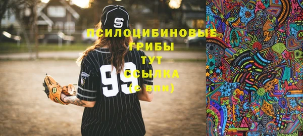 герыч Алексин