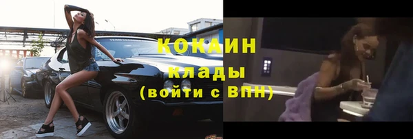 ECSTASY Алзамай