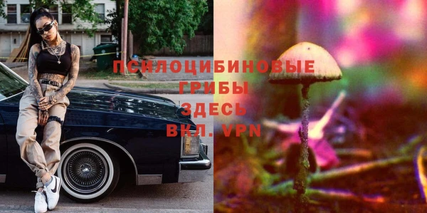 герыч Алексин