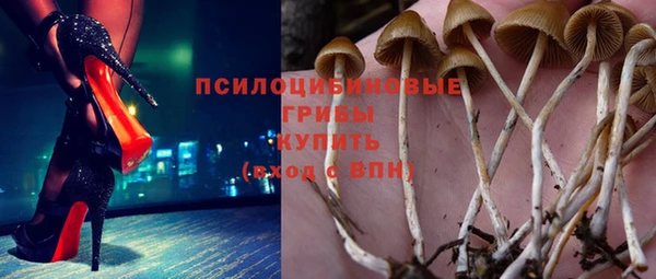 ECSTASY Алзамай