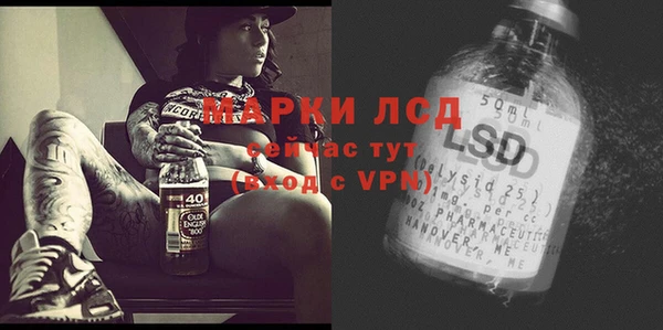 ECSTASY Алзамай