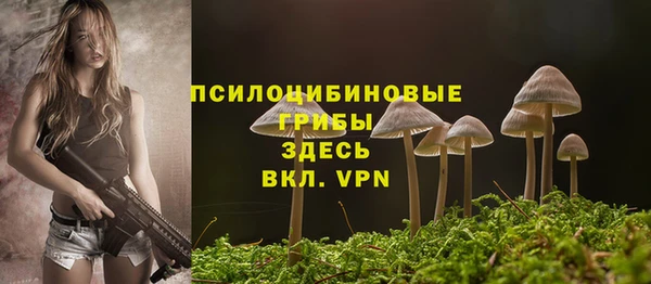 ECSTASY Алзамай
