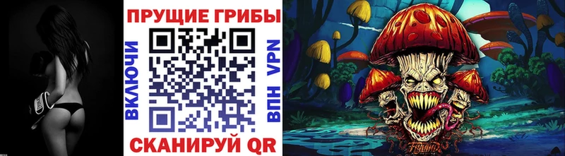 Галлюциногенные грибы Cubensis  Сортавала 